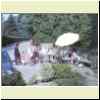 IMAG0006.html