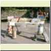 IMAG0007.html